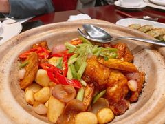 -中国坊中餐厅(石家庄希尔顿酒店)