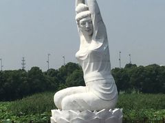 -荷塘月色湿地公园·向阳花洲