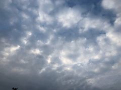 -四川省体育馆羽毛球馆