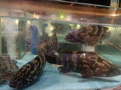 -阿伟海鲜楼·福建菜(延寿店)