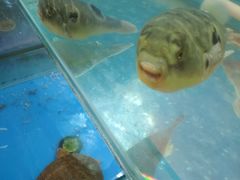 -农家小院(朱雀桥店)