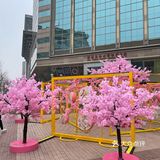 满树樱花朵朵开，花花世界的，出来逛街啊