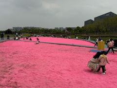 -春花秋色城市公园