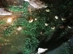 -上海崧泽遗址博物馆