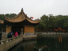 -普陀山风景名胜区-法雨禅寺
