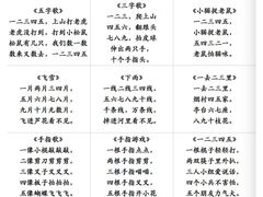 -澳洲袋鼠早教(南二环店)
