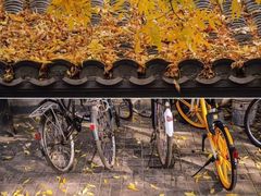 -白塘生态植物园