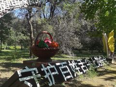 -廊坊市自然公园