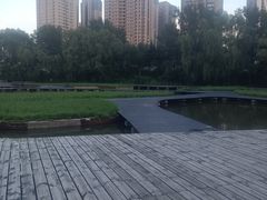 -长白岛森林公园