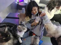 -极木²邸 人与宠物·互动社区