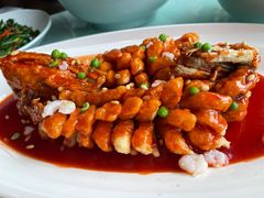 淮味松鼠鳜花鱼-扬州狮子楼·非遗淮扬菜(总店)