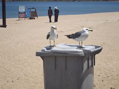-海驴岛(荣成市)