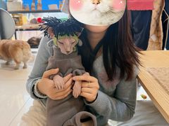 -平行世界·猫咖(首经贸店)