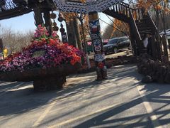 -呀路古热带植物园