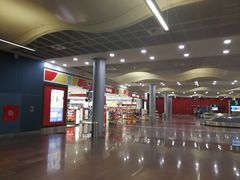 -西沃古尔·拉姆古兰爵士国际机场