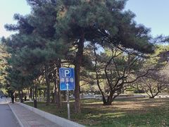 -中央民族大学
