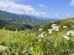 -灵山