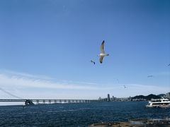 -星海广场