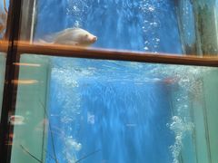 -珍宝海鲜JUMBO Seafood(尚嘉店)