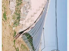 -大自然农场蔬菜草莓采摘园