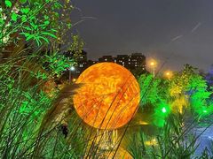 -华豫川酒家(大卫城店)