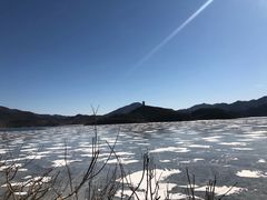 -望湖烤鱼