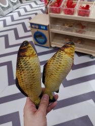 -GooGo乐园长春(长春王府井店)