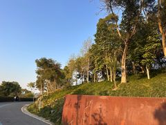 -飞凤山奥体公园