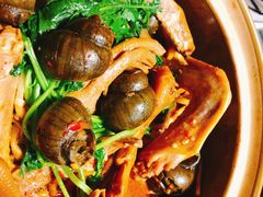 -食爺炭炉鸡煲·烧烤