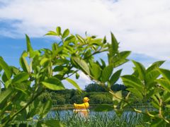 -北京奥林匹克公园