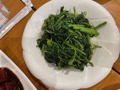 -前小桔亲子创意农场·草莓采摘·露营烧烤