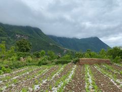 -萝卜寨羌文化生态旅游区