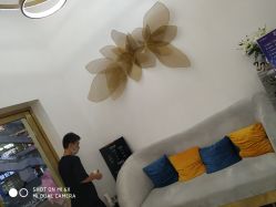 -YESIDO椰岛造型