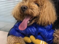 -爱侣宠医·鹦鹉专科·小型哺乳类·异宠专科(灵石路店)