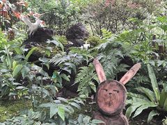 -深圳仙湖植物园