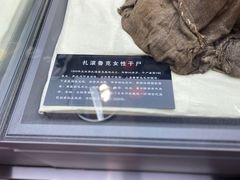 -巴音郭楞蒙古自治州博物馆