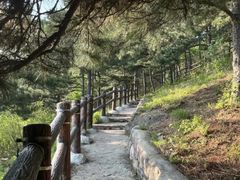 -北京十三陵国家森林公园蟒山景区