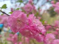 -鹫峰国家森林公园