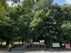 -广东茂名森林公园