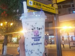 -一只酸奶牛(八一路店)