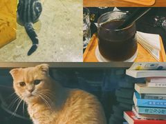 -咖法森林·咖啡  酒吧(天河店)