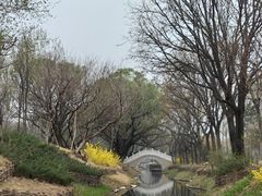 -北坞公园