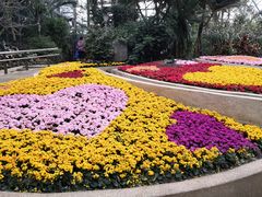 -南山植物园
