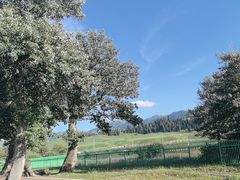 -新疆那拉提国家旅游度假区