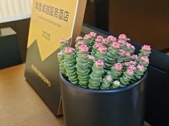 -南大国际会议中心