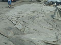 -华莱士·全鸡汉堡(厚街赤岭店)