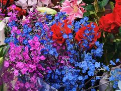 -秦美花卉(天朗·莱茵小城2期店)