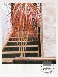-T.1 hair salon烫染接发