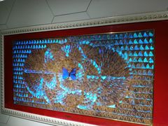 -上海昆虫博物馆