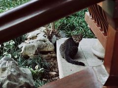 -杭州半山国家森林公园